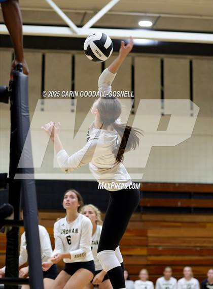 Thumbnail 1 in Croatan @ Havelock photogallery.