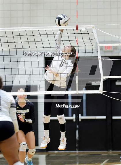 Thumbnail 2 in Croatan @ Havelock photogallery.