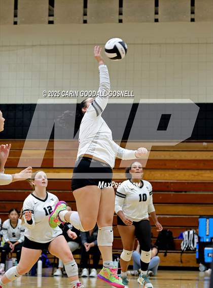 Thumbnail 3 in Croatan @ Havelock photogallery.