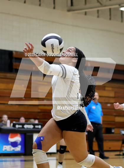 Thumbnail 3 in Croatan @ Havelock photogallery.