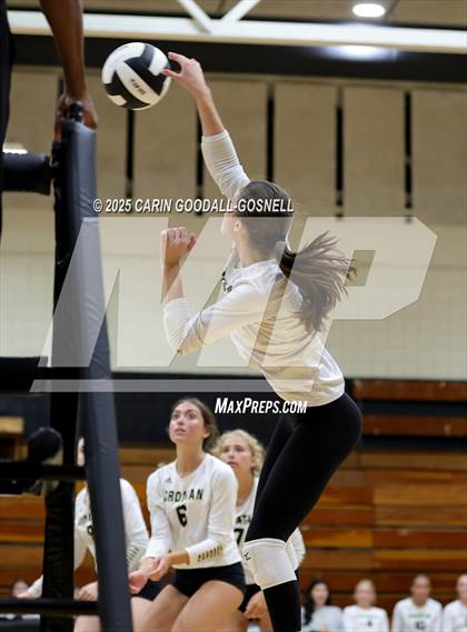 Thumbnail 2 in Croatan @ Havelock photogallery.