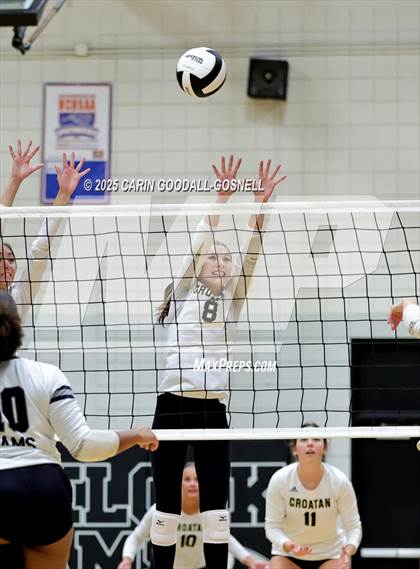 Thumbnail 2 in Croatan @ Havelock photogallery.