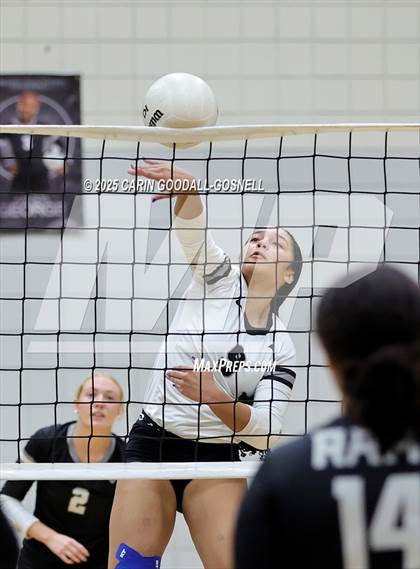 Thumbnail 2 in Croatan @ Havelock photogallery.