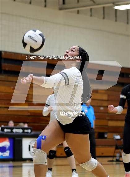 Thumbnail 2 in Croatan @ Havelock photogallery.