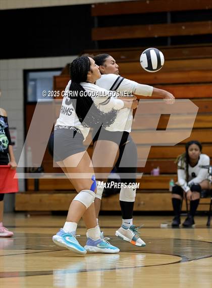 Thumbnail 2 in Croatan @ Havelock photogallery.