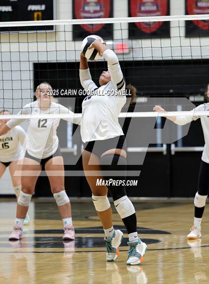 Thumbnail 3 in Croatan @ Havelock photogallery.