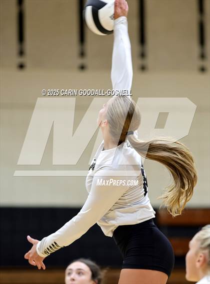 Thumbnail 3 in Croatan @ Havelock photogallery.