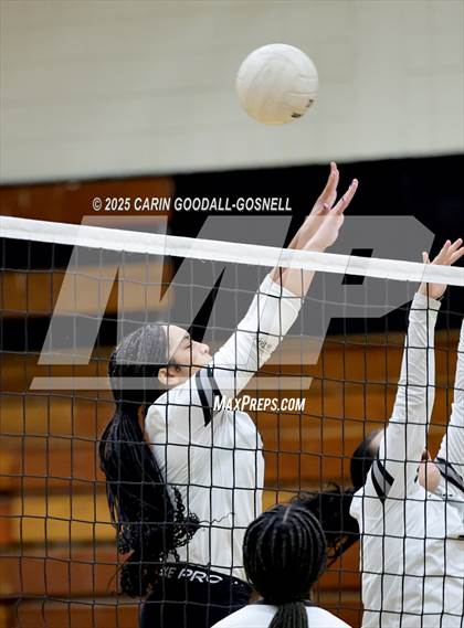 Thumbnail 3 in Croatan @ Havelock photogallery.