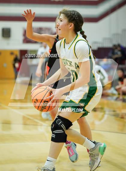 Thumbnail 3 in Eureka vs. Wells (NIAA 1A East League Semifinals) photogallery.