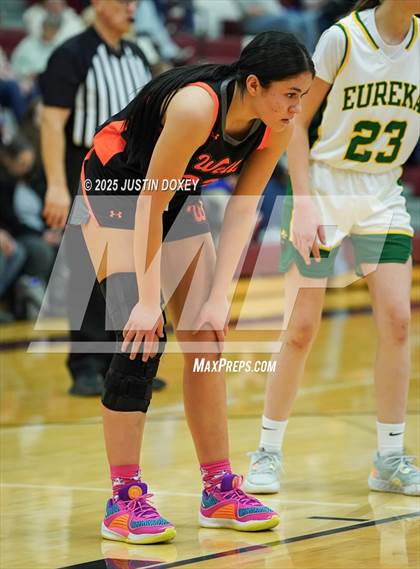 Thumbnail 2 in Eureka vs. Wells (NIAA 1A East League Semifinals) photogallery.
