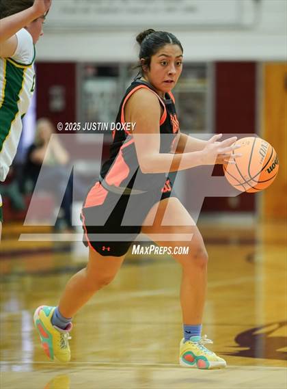 Thumbnail 2 in Eureka vs. Wells (NIAA 1A East League Semifinals) photogallery.