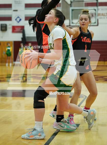 Thumbnail 2 in Eureka vs. Wells (NIAA 1A East League Semifinals) photogallery.