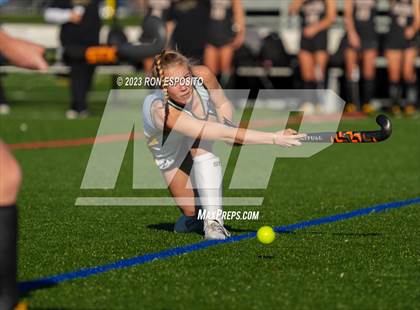 Thumbnail 1 in Sachem North vs Ward Melville(NYSPHSAA) photogallery.