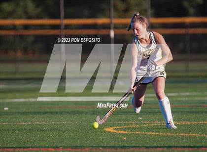 Thumbnail 1 in Sachem North vs Ward Melville(NYSPHSAA) photogallery.