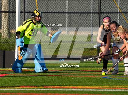 Thumbnail 1 in Sachem North vs Ward Melville(NYSPHSAA) photogallery.