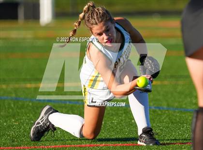 Thumbnail 1 in Sachem North vs Ward Melville(NYSPHSAA) photogallery.
