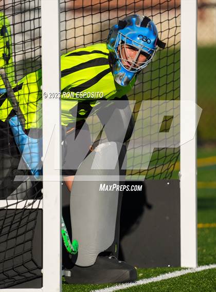 Thumbnail 1 in Sachem North vs Ward Melville(NYSPHSAA) photogallery.
