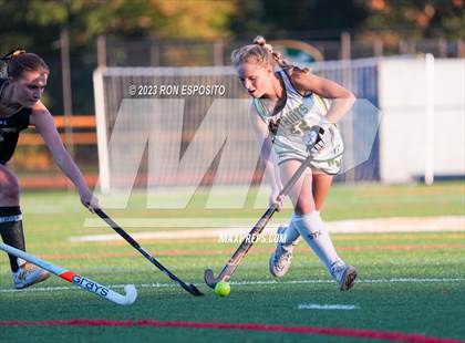 Thumbnail 1 in Sachem North vs Ward Melville(NYSPHSAA) photogallery.