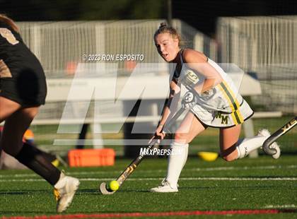 Thumbnail 1 in Sachem North vs Ward Melville(NYSPHSAA) photogallery.