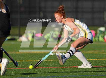 Thumbnail 1 in Sachem North vs Ward Melville(NYSPHSAA) photogallery.