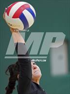 Photo from the gallery "Oakton @ Langley"