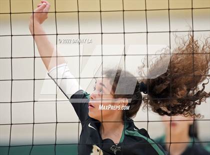 Thumbnail 3 in Oakton @ Langley photogallery.