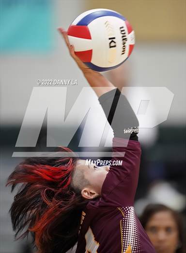 null - Photo 01