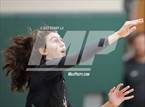Photo from the gallery "Oakton @ Langley"