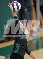 Photo from the gallery "Oakton @ Langley"