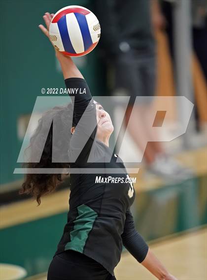 Thumbnail 3 in Oakton @ Langley photogallery.
