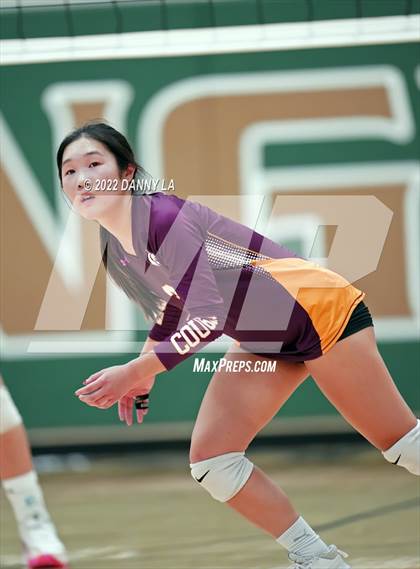 Thumbnail 2 in Oakton @ Langley photogallery.