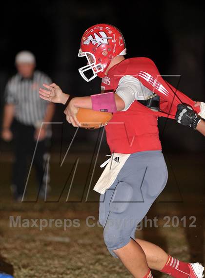 Thumbnail 3 in Orland @ Winters photogallery.