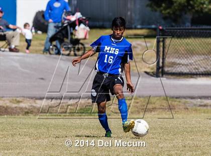 Thumbnail 1 in Mulberry @ McKeel Academy photogallery.
