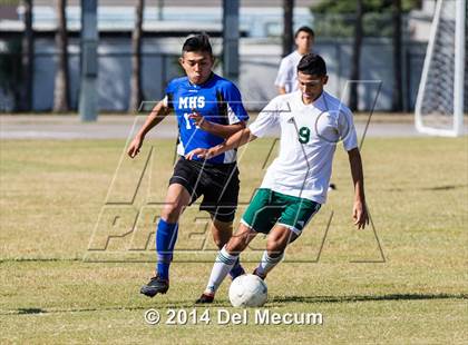 Thumbnail 1 in Mulberry @ McKeel Academy photogallery.