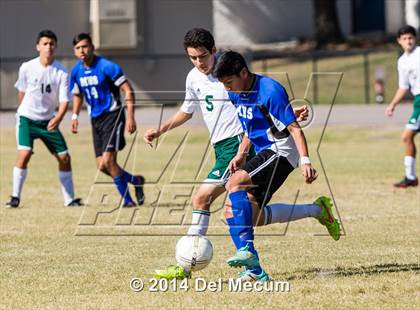Thumbnail 1 in Mulberry @ McKeel Academy photogallery.