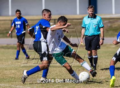Thumbnail 1 in Mulberry @ McKeel Academy photogallery.