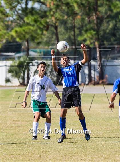 Thumbnail 2 in Mulberry @ McKeel Academy photogallery.