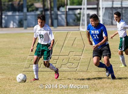 Thumbnail 1 in Mulberry @ McKeel Academy photogallery.