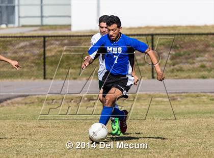 Thumbnail 3 in Mulberry @ McKeel Academy photogallery.