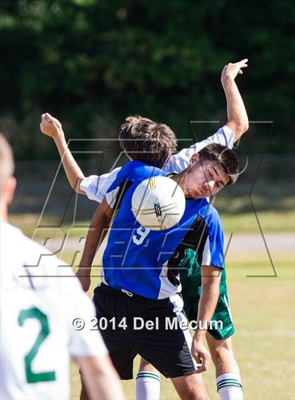 Thumbnail 1 in Mulberry @ McKeel Academy photogallery.