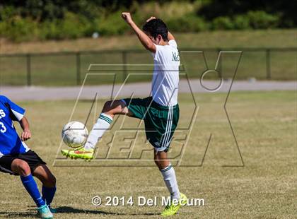 Thumbnail 1 in Mulberry @ McKeel Academy photogallery.