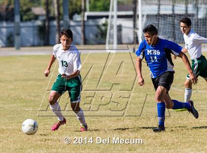 Thumbnail 3 in Mulberry @ McKeel Academy photogallery.