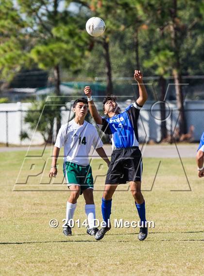 Thumbnail 3 in Mulberry @ McKeel Academy photogallery.