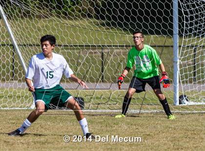 Thumbnail 3 in Mulberry @ McKeel Academy photogallery.