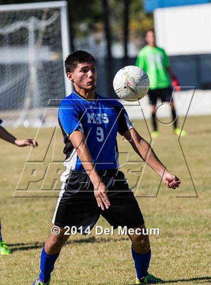 Thumbnail 2 in Mulberry @ McKeel Academy photogallery.
