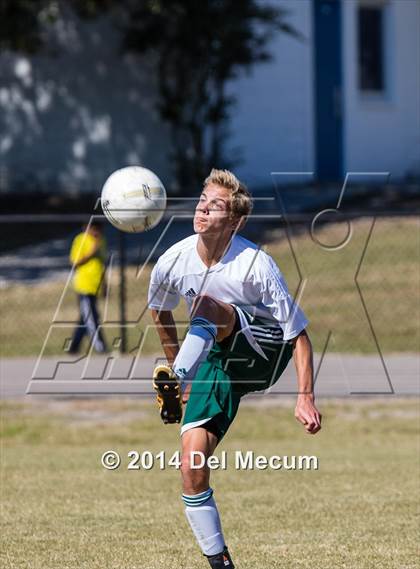 Thumbnail 3 in Mulberry @ McKeel Academy photogallery.
