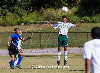 Thumbnail 2 in Mulberry @ McKeel Academy photogallery.