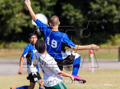 Thumbnail 1 in Mulberry @ McKeel Academy photogallery.