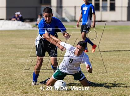 Thumbnail 1 in Mulberry @ McKeel Academy photogallery.