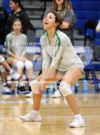 Photo from the gallery "Skyline @ Dobson"